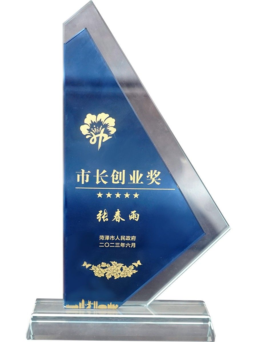 市長創(chuàng)業(yè)獎